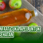 Manfaat Cuka Apel untuk Menurunkan Indeks Glikemik: Panduan Lengkap untuk Kesehatan Metabolik