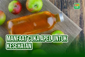 Manfaat Cuka Apel untuk Menurunkan Indeks Glikemik: Panduan Lengkap untuk Kesehatan Metabolik
