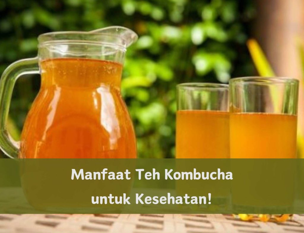 Manfaat Teh Kombucha bagi Kesehatan Pencernaan: Sebuah Panduan Lengkap untuk Usus yang Lebih Sehat