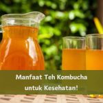 Manfaat Teh Kombucha bagi Kesehatan Pencernaan: Sebuah Panduan Lengkap untuk Usus yang Lebih Sehat