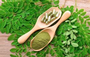 Nutrisi Superfood Kelor untuk Meningkatkan Imunitas: Rahasia Kekebalan Tubuh Alami dari Daun Ajaib