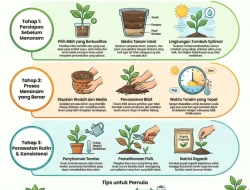 Analisis Komprehensif Agribisnis: Berapa Keuntungan Budidaya Tanaman Herbal?