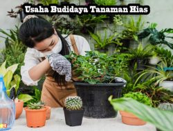 Memahami Berapa Modal Awal Budidaya Tanaman Hias: Panduan Analisis Keuangan dan Strategi Usaha