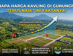 Memahami Dinamika Pasar: Kenapa Harga Tanah Kavling Naik dari Sisi Finansial dan Ekonomi