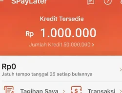 Panduan Lengkap: Bagaimana Cara Membuat Paylater Sendiri untuk Bisnis Anda