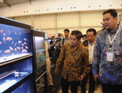Panduan Lengkap Ekspor Ikan Hias: Prosedur, Syarat, dan Strategi Bisnis Internasional