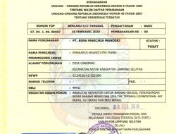 Panduan Lengkap Legalitas Usaha: Bagaimana Cara Mengurus Tanda Daftar Perusahaan (TDP) di Era Digital